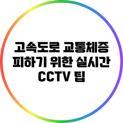 고속도로 교통체증 피하기 위한 실시간 CCTV 팁