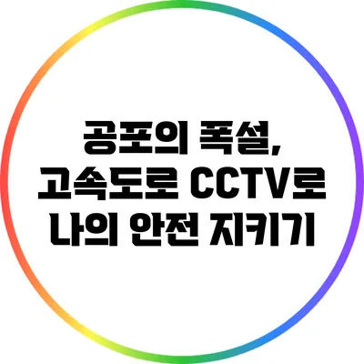 공포의 폭설, 고속도로 CCTV로 나의 안전 지키기
