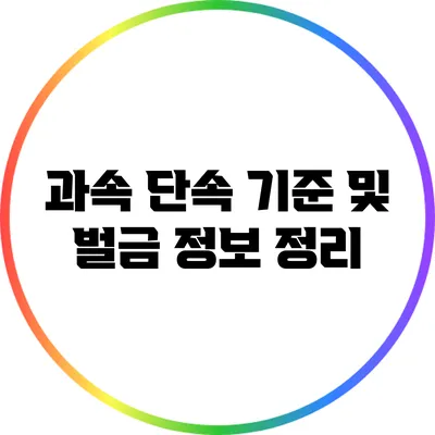 과속 단속 기준 및 벌금 정보 정리