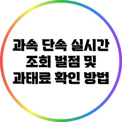 과속 단속 실시간 조회: 벌점 및 과태료 확인 방법