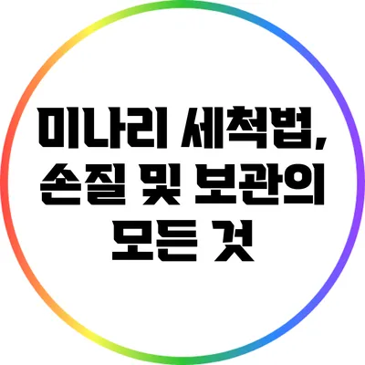 미나리 세척법, 손질 및 보관의 모든 것