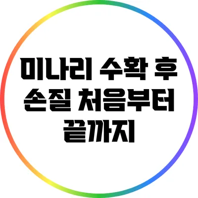 미나리 수확 후 손질: 처음부터 끝까지
