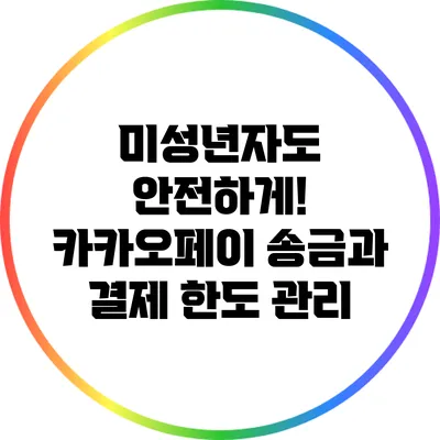 미성년자도 안전하게! 카카오페이 송금과 결제 한도 관리