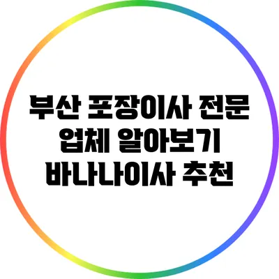 부산 포장이사 전문 업체 알아보기: 바나나이사 추천