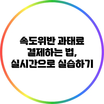 속도위반 과태료 결제하는 법, 실시간으로 실습하기