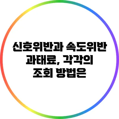 신호위반과 속도위반 과태료, 각각의 조회 방법은?