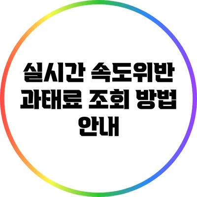 실시간 속도위반 과태료 조회 방법 안내