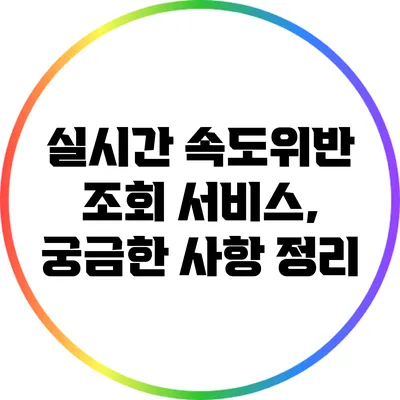 실시간 속도위반 조회 서비스, 궁금한 사항 정리