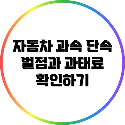 자동차 과속 단속: 벌점과 과태료 확인하기