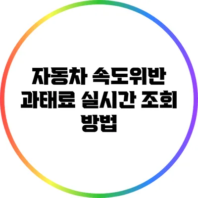자동차 속도위반 과태료 실시간 조회 방법