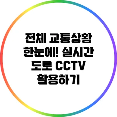 전체 교통상황 한눈에! 실시간 도로 CCTV 활용하기