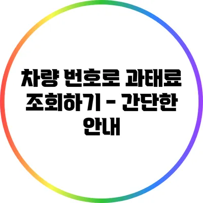 차량 번호로 과태료 조회하기 - 간단한 안내