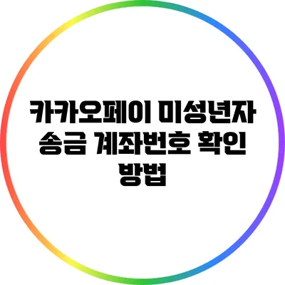 카카오페이 미성년자 송금 계좌번호 확인 방법