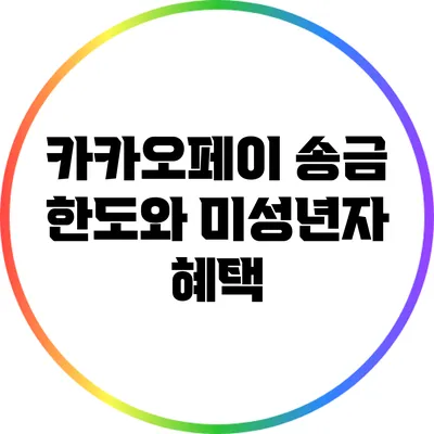 카카오페이 송금 한도와 미성년자 혜택