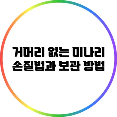 거머리 없는 미나리 손질법과 보관 방법