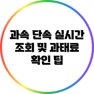 과속 단속 실시간 조회 및 과태료 확인 팁