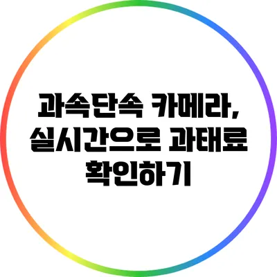 과속단속 카메라, 실시간으로 과태료 확인하기