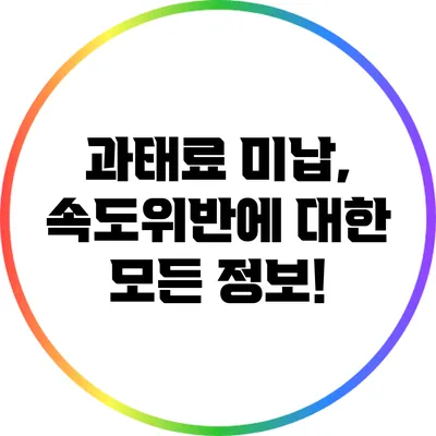 과태료 미납, 속도위반에 대한 모든 정보!