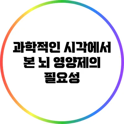 과학적인 시각에서 본 뇌 영양제의 필요성