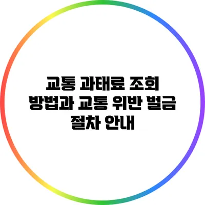 교통 과태료 조회 방법과 교통 위반 벌금 절차 안내