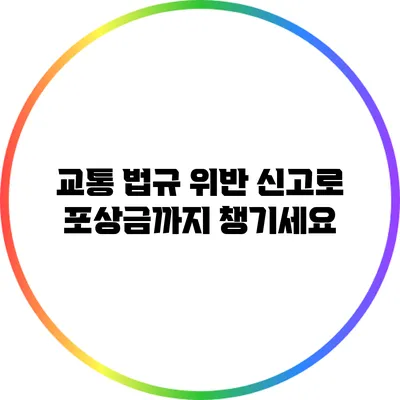 교통 법규 위반 신고로 포상금까지 챙기세요