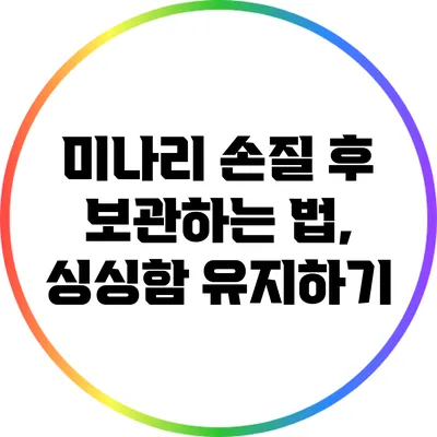미나리 손질 후 보관하는 법, 싱싱함 유지하기