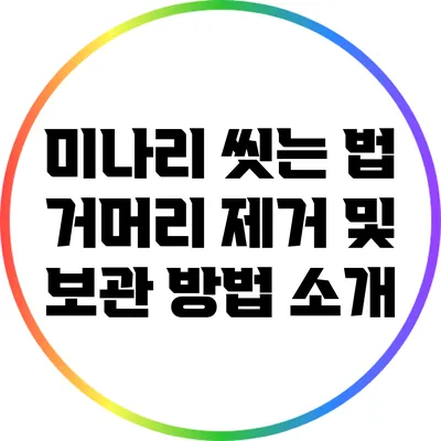 미나리 씻는 법: 거머리 제거 및 보관 방법 소개