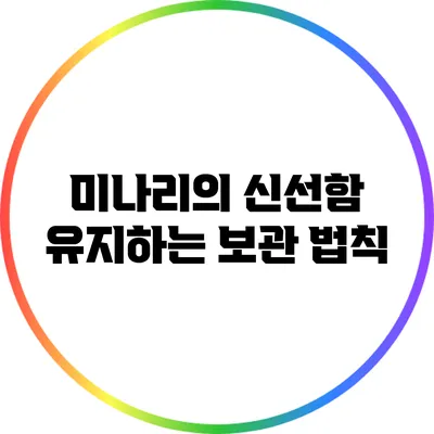 미나리의 신선함 유지하는 보관 법칙