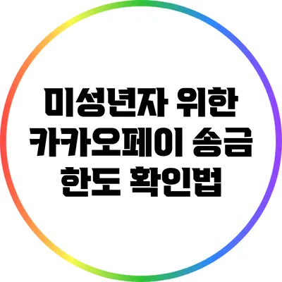 미성년자 위한 카카오페이 송금 한도 확인법