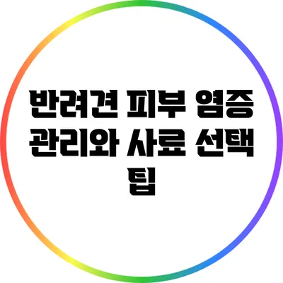 반려견 피부 염증 관리와 사료 선택 팁