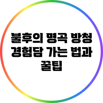 불후의 명곡 방청 경험담: 가는 법과 꿀팁