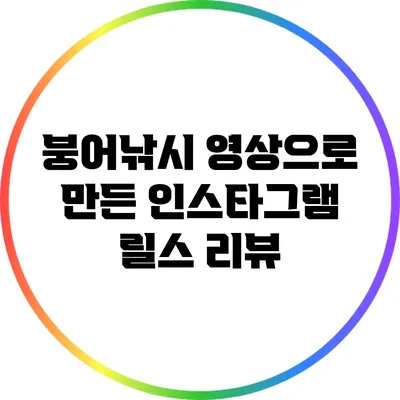 붕어낚시 영상으로 만든 인스타그램 릴스 리뷰