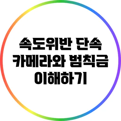 속도위반 단속 카메라와 범칙금 이해하기