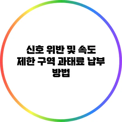 신호 위반 및 속도 제한 구역 과태료 납부 방법