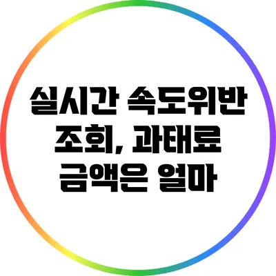 실시간 속도위반 조회, 과태료 금액은 얼마?