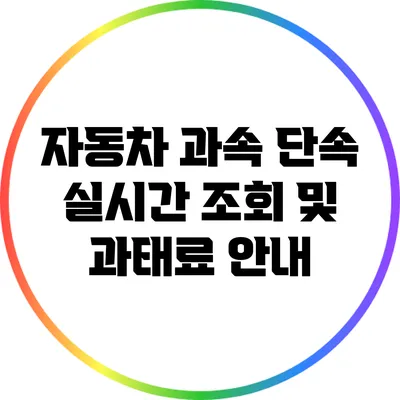 자동차 과속 단속 실시간 조회 및 과태료 안내
