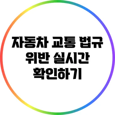 자동차 교통 법규 위반 실시간 확인하기