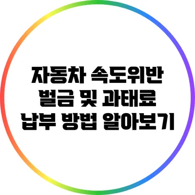 자동차 속도위반 벌금 및 과태료 납부 방법 알아보기