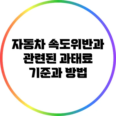 자동차 속도위반과 관련된 과태료 기준과 방법