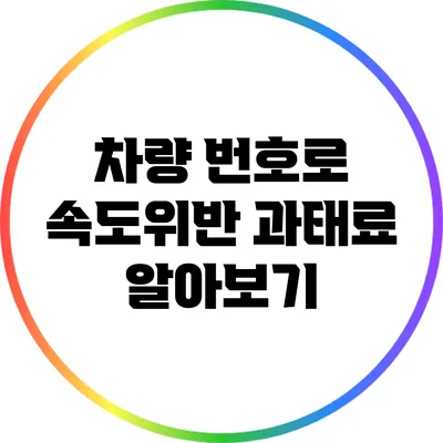 차량 번호로 속도위반 과태료 알아보기