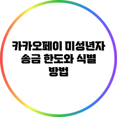 카카오페이 미성년자 송금 한도와 식별 방법