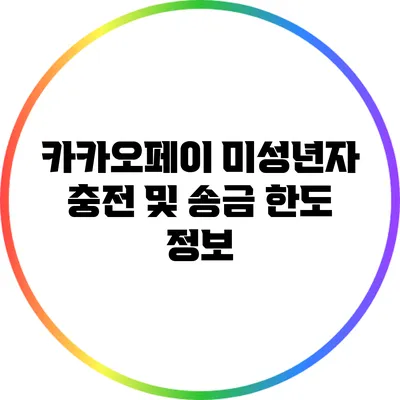 카카오페이 미성년자 충전 및 송금 한도 정보