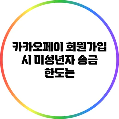 카카오페이 회원가입 시 미성년자 송금 한도는?
