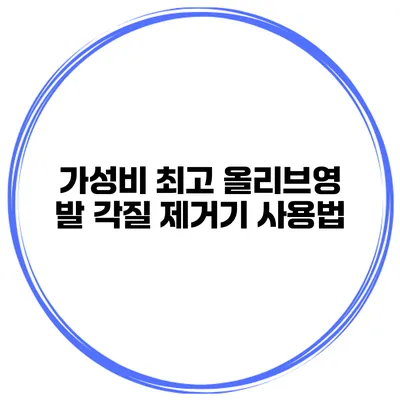 가성비 최고 올리브영 발 각질 제거기 사용법