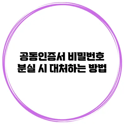 공동인증서 비밀번호 분실 시 대처하는 방법
