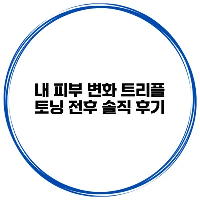 내 피부 변화 트리플 토닝 전후 솔직 후기