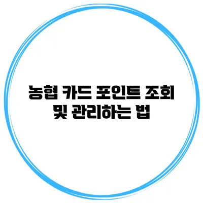 농협 카드 포인트 조회 및 관리하는 법