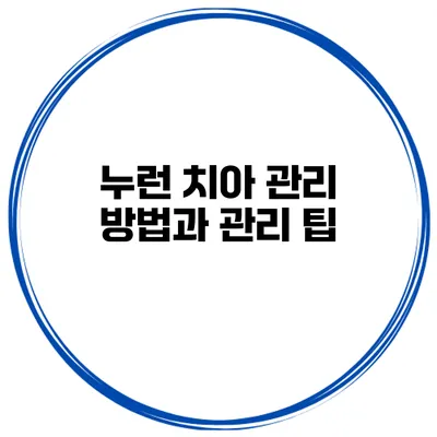 누런 치아 관리 방법과 관리 팁