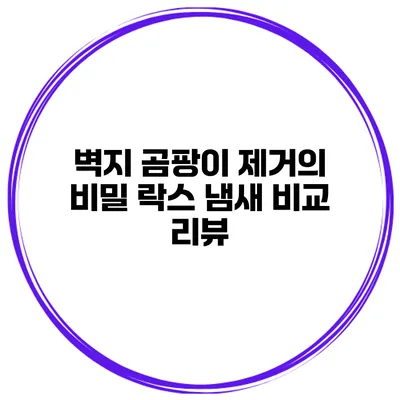 벽지 곰팡이 제거의 비밀 락스 냄새 비교 리뷰