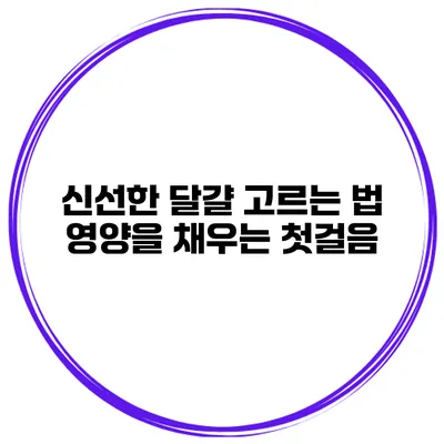 신선한 달걀 고르는 법 영양을 채우는 첫걸음